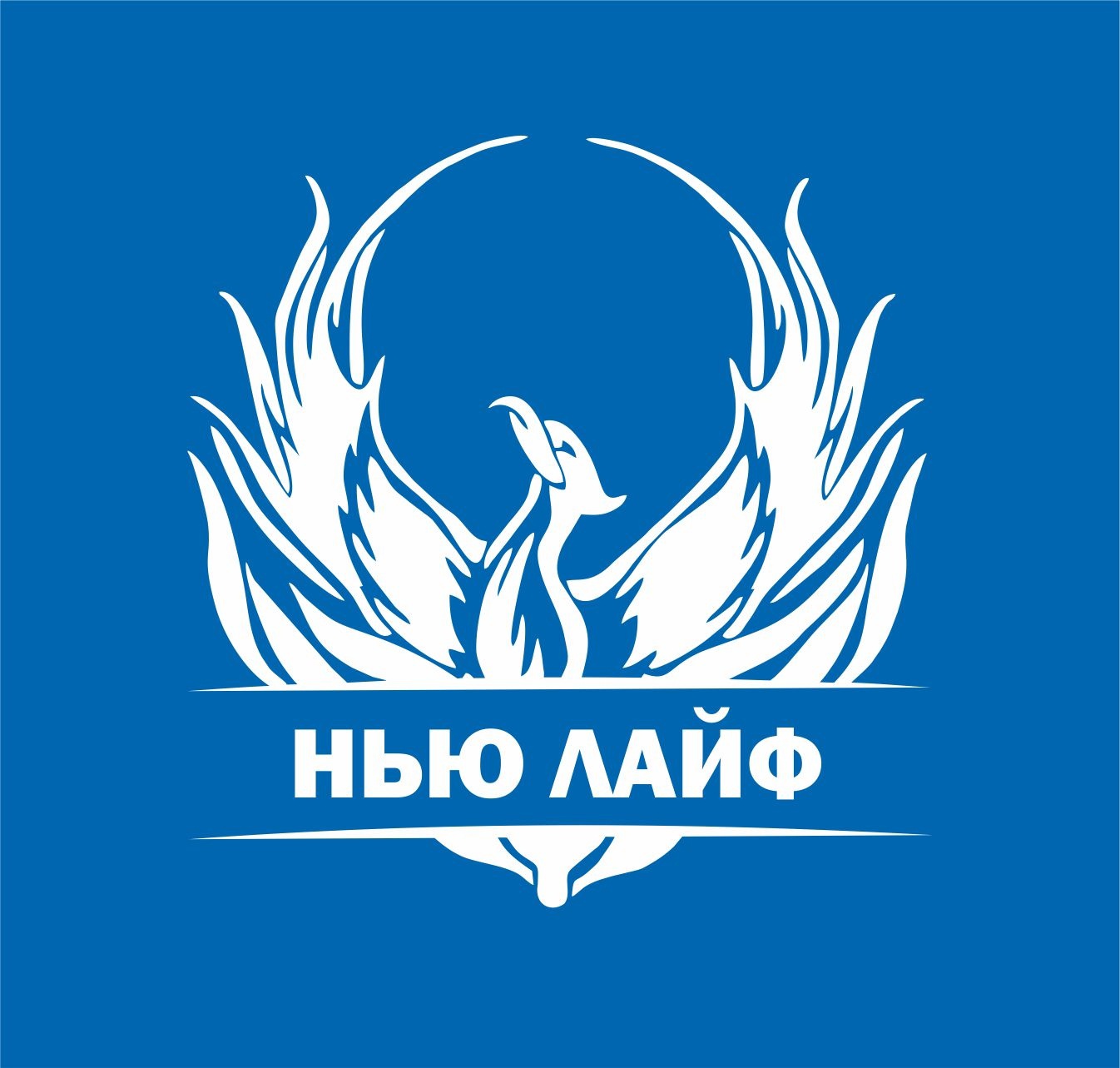 Новая Жизнь